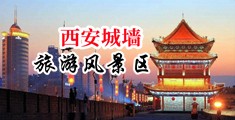 老太婆的阴蒂头网站中国陕西-西安城墙旅游风景区